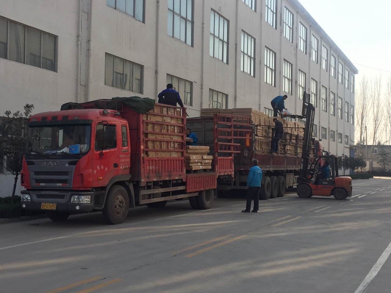 91免费版看片91免费成人版温暖出发
